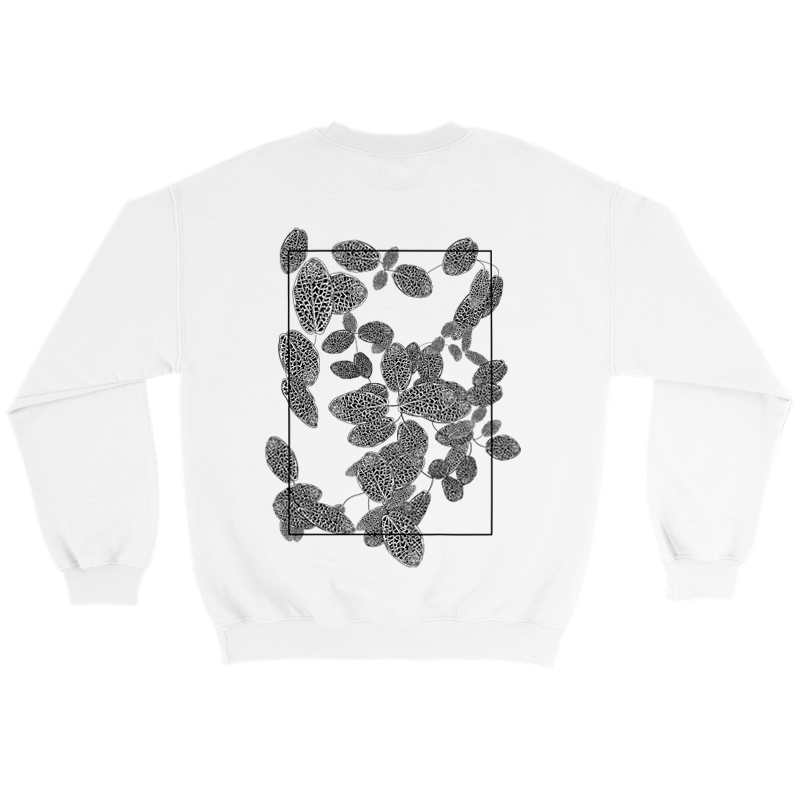 Crewneck fittonia