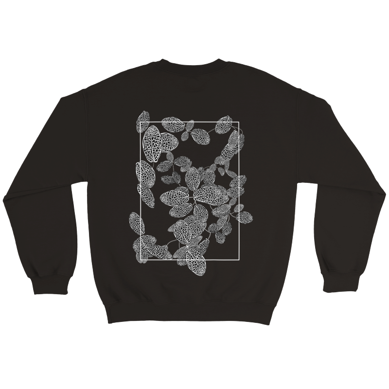 Crewneck fittonia