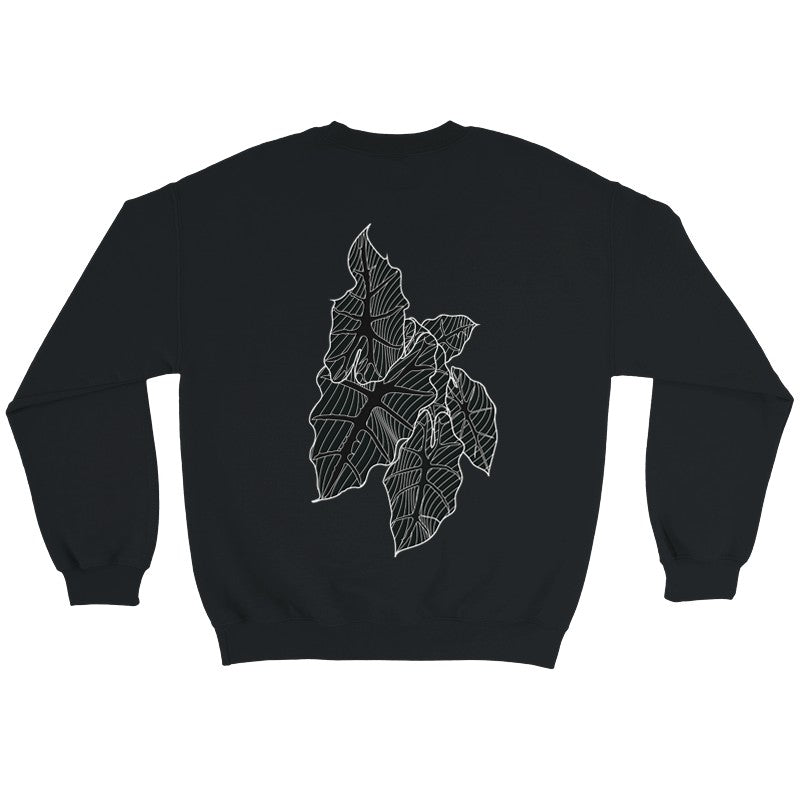 Crewneck polly alocasia