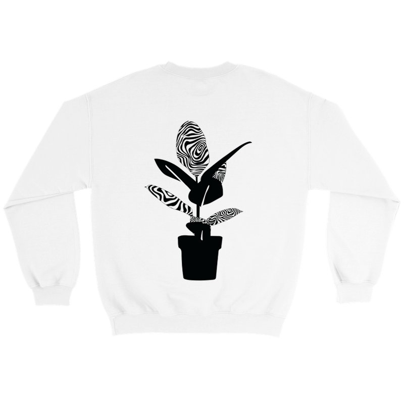 Crewneck ficus elastica 