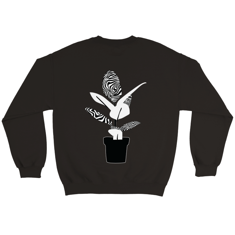 Crewneck ficus elastica 