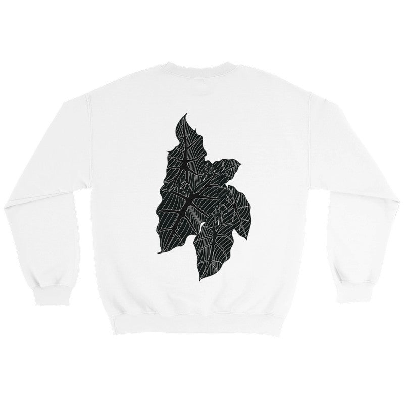 Crewneck polly alocasia